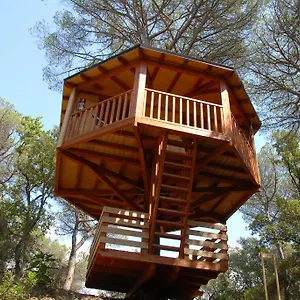 Dosrius Campo de lujo